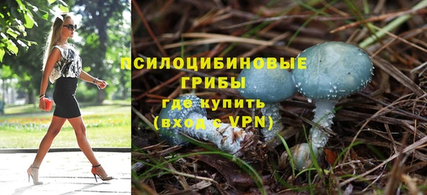 a pvp Магадан