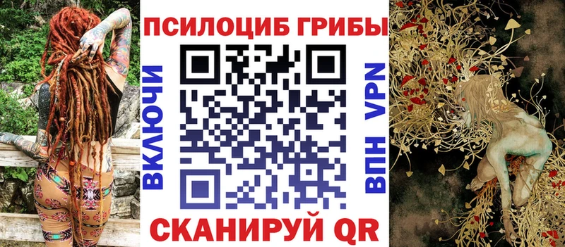 Псилоцибиновые грибы MAGIC MUSHROOMS  площадка какой сайт  Поворино  наркота 