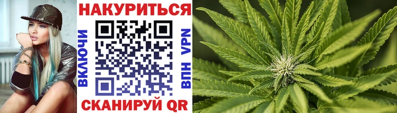 Конопля Bruce Banner  Поворино 